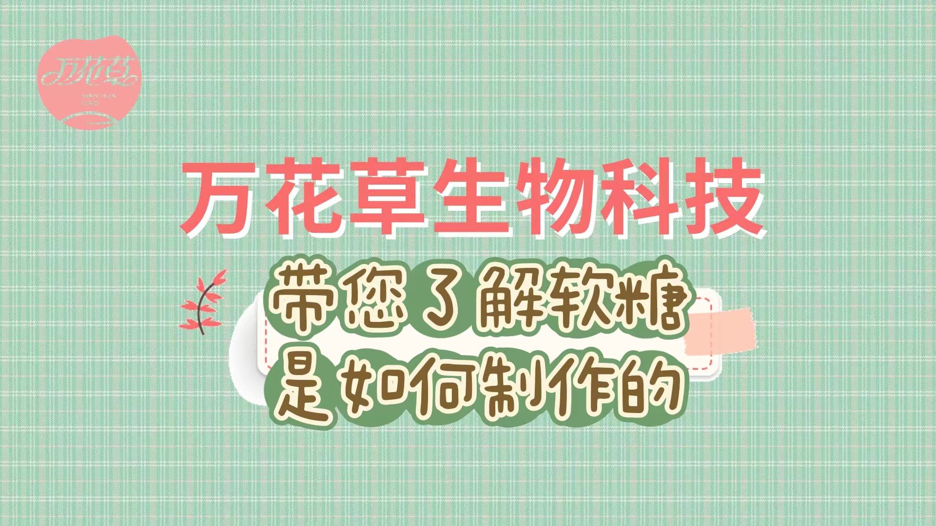 軟糖代加工生產(chǎn)工藝流程，帶您了解糖果是如何制作的