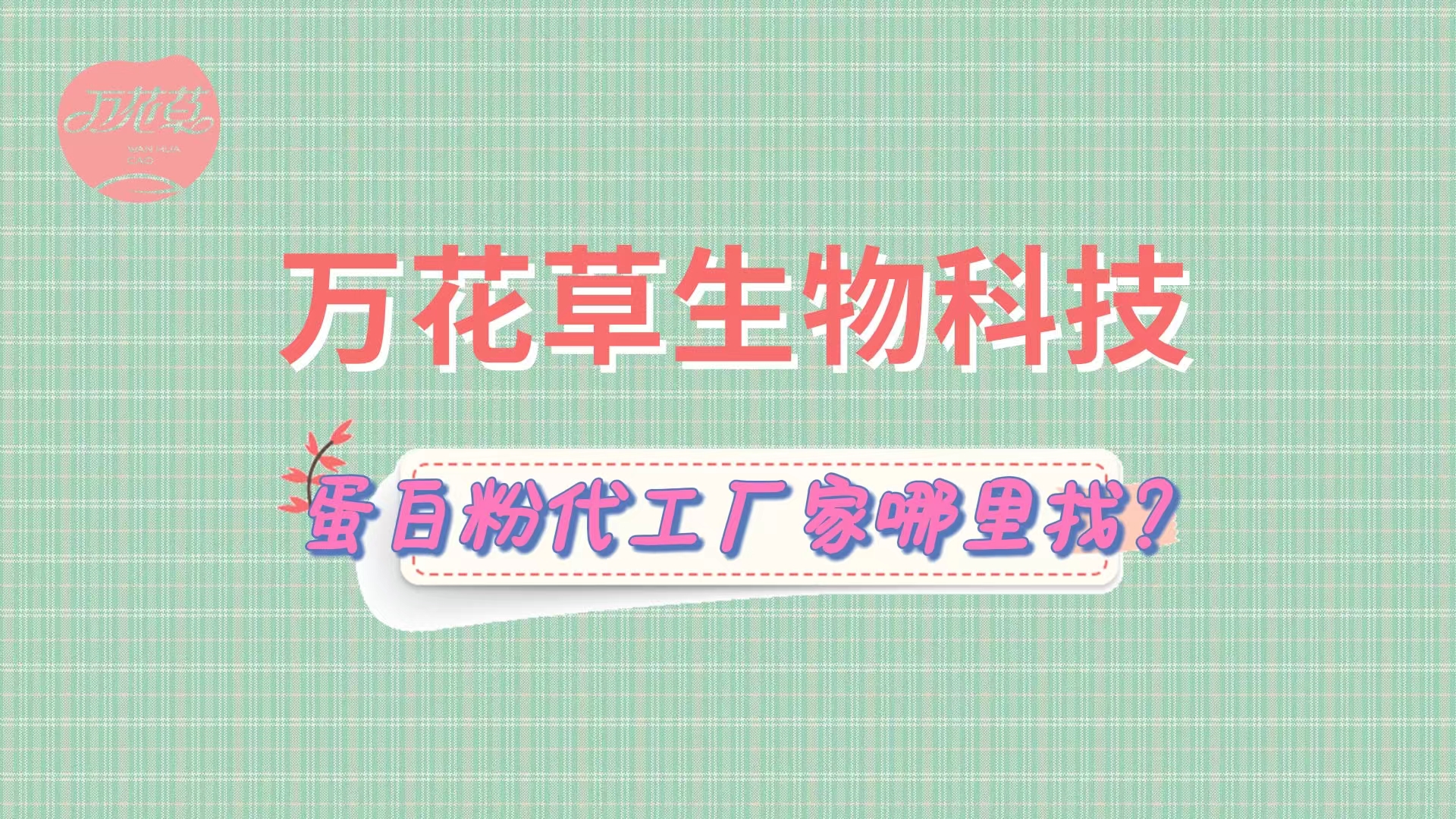 蛋白粉代加工，怎么找專業(yè)源頭廠家？