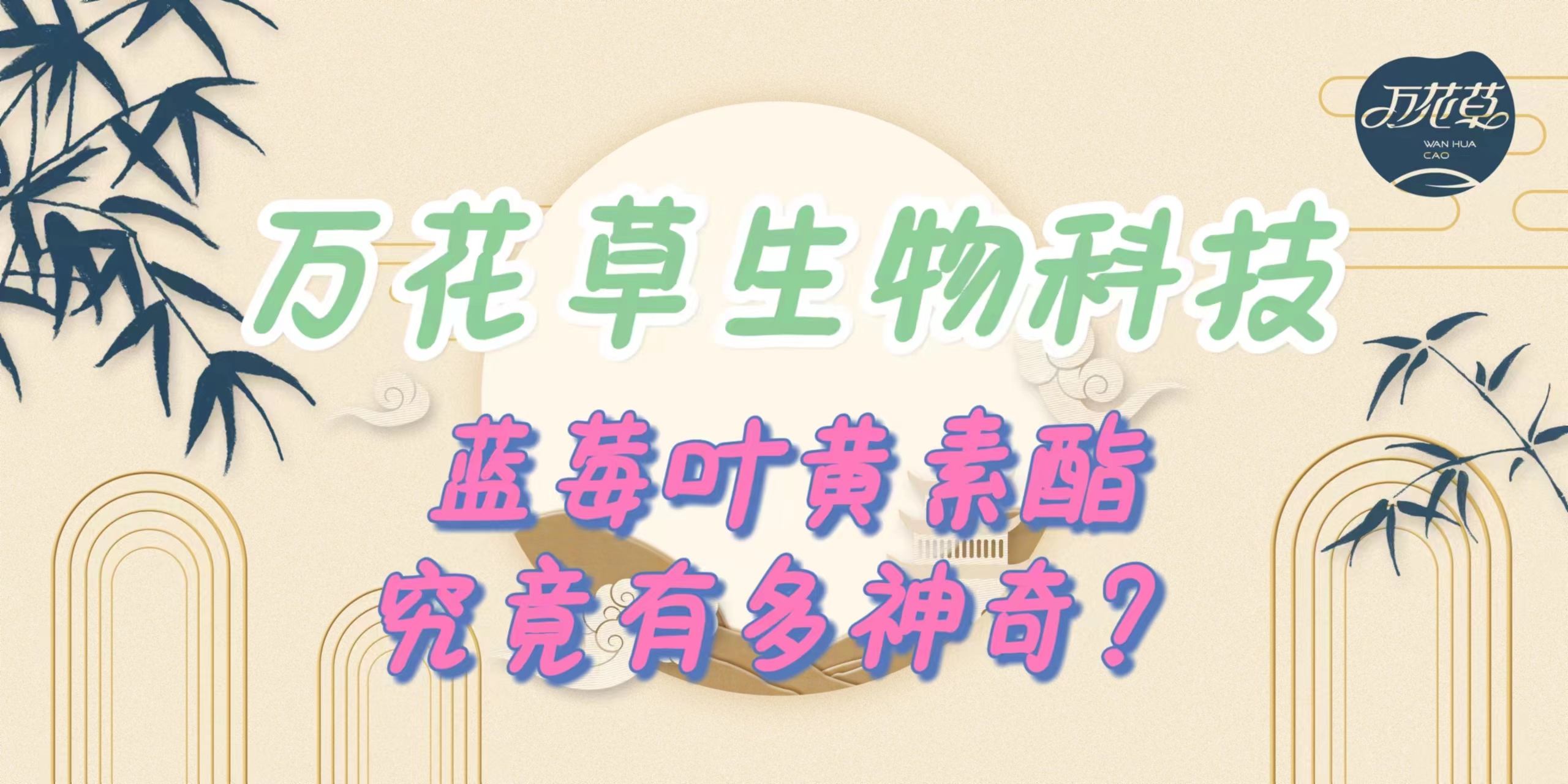 升級配方，重磅出擊，萬花草藍莓葉黃素酯究竟有多神奇？