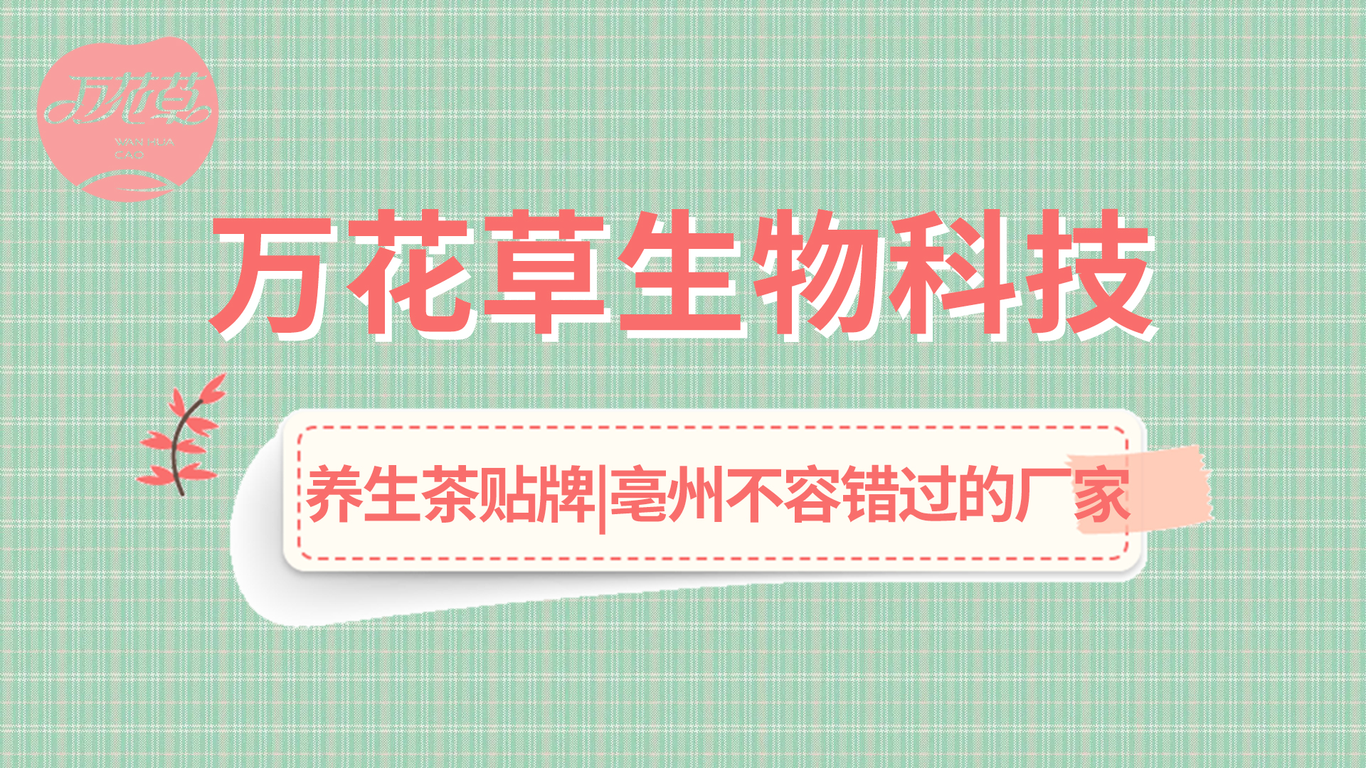 亳州不容錯(cuò)過(guò)的大健康廠(chǎng)家——萬(wàn)花草